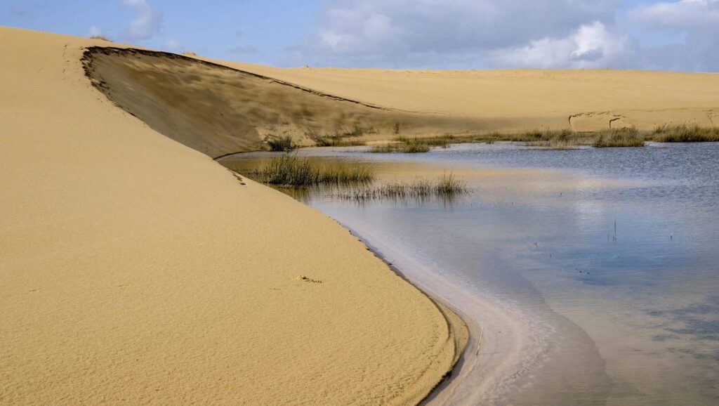 Dunas de corrubedo